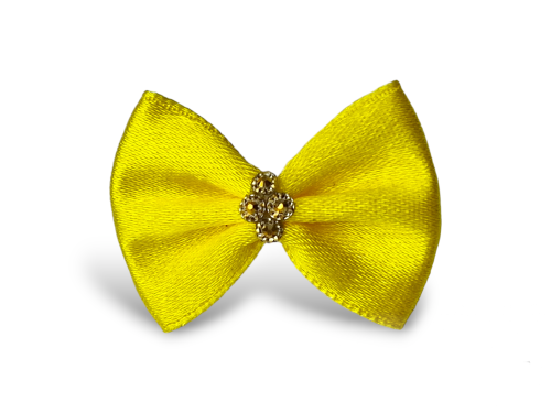 PhotoRoom-20240130_233237.png