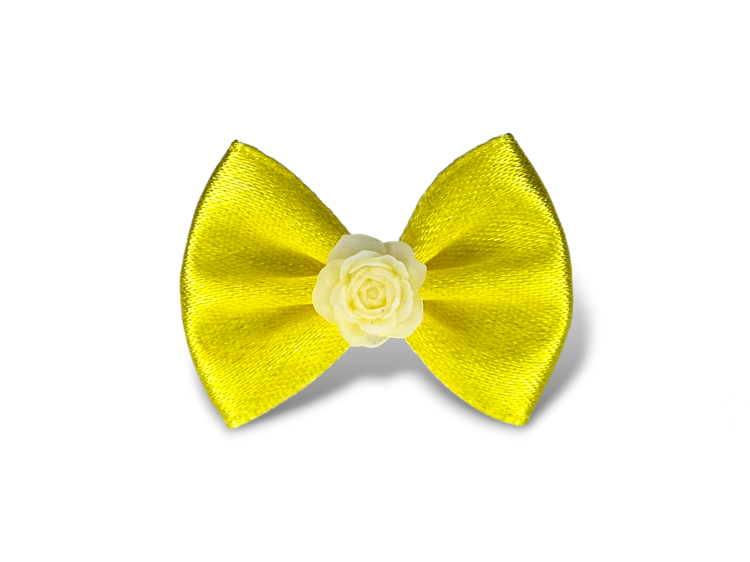 Photoroom-20240306_214857.png