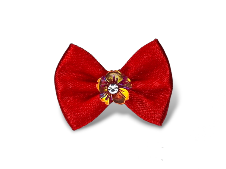 Photoroom-20240306_215113.png