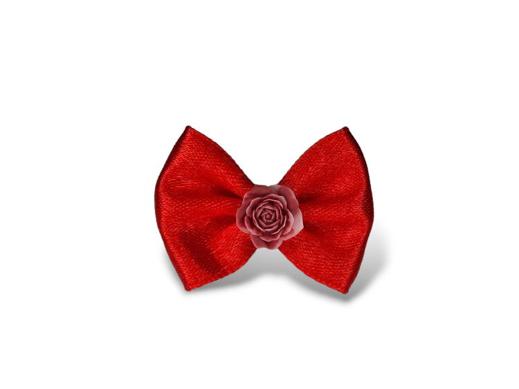 Photoroom-20240306_222038.png
