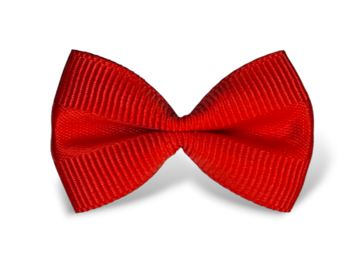 Photoroom-20240312_221408.png