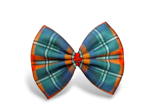 Photoroom-20240905_122057.png