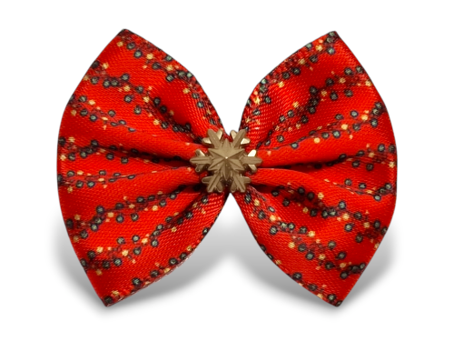 Photoroom-20241205_000510.png