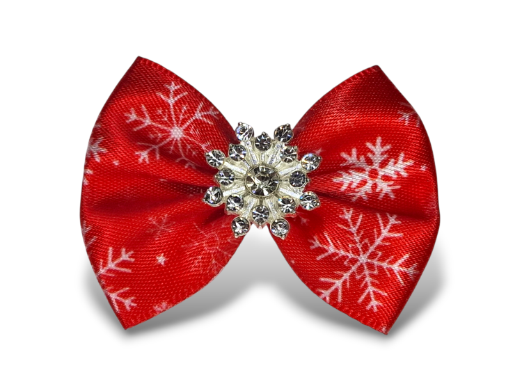 Photoroom-20251219_190807935 (5).png